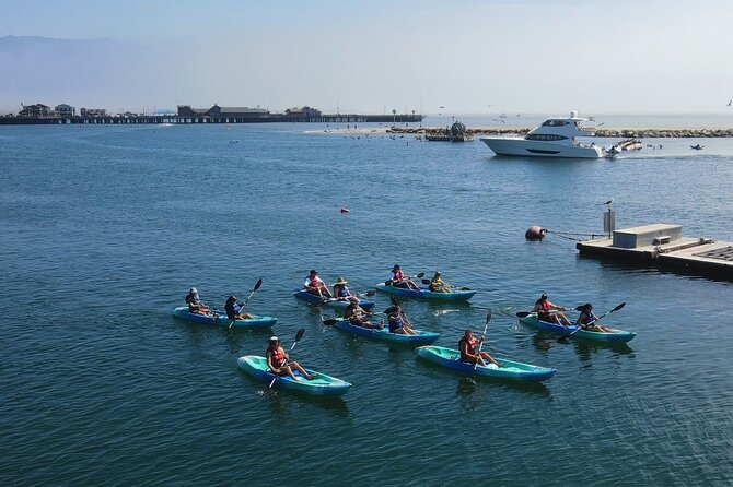 Kayak Tour of Santa Barbara With Experienced Guide - Meeting Point and Equipment Details
