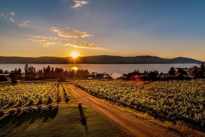 Kelowna Wine, Vines and Distillery Tasting Tour - Tour Highlights