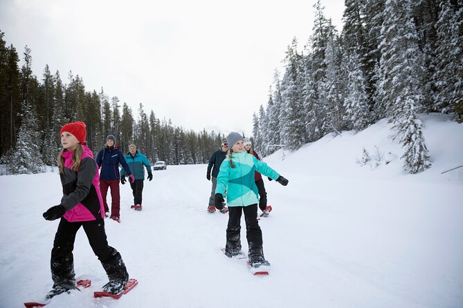 Lake Louise Scenic Snowshoe Tour - Participant Requirements and Information