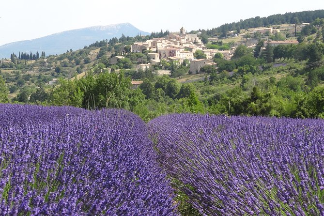 Lavender Tour Sault From Marseille - Itinerary Overview