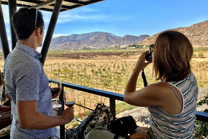 Luxury Private Wine Tasting Tour to Guadalupe Valley From San Diego - Tour Details