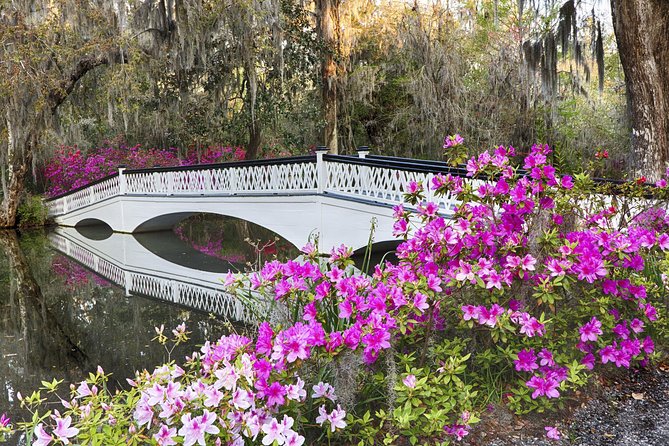Magnolia Plantation Admission & Tour With Transportation From Charleston - Detailed Itinerary & Timeline