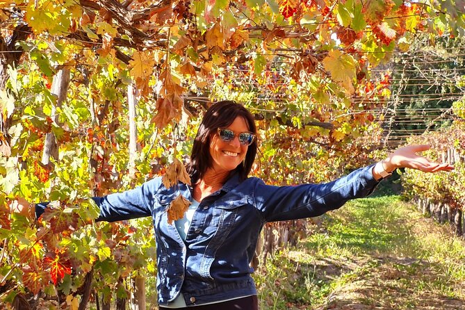 Maipo Valley Wine Tour With 4 Vineyards From Santiago. - Maipo Valley Wineries Visited