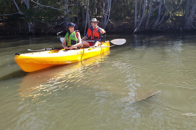 Manatee and Dolphin Kayaking Haulover Canal (Titusville)