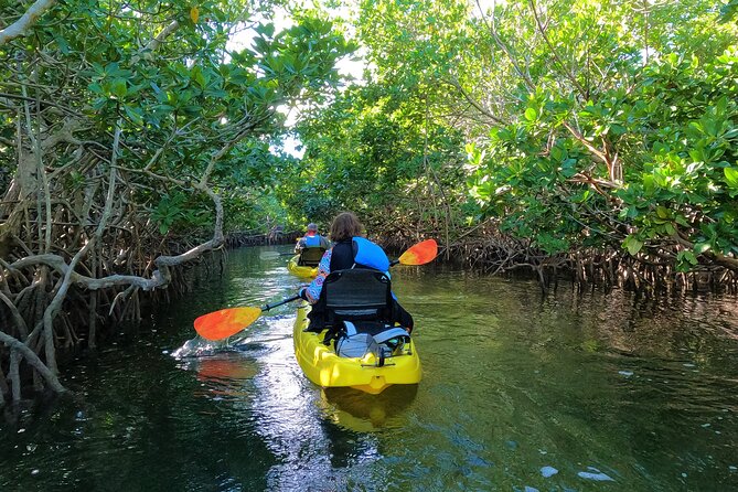 Mangrove Tunnel Kayak Adventure in Key Largo
