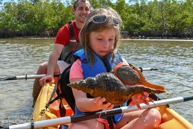 Mangrove Tunnels & Mudflats Kayak Tour - Local Biologist Guides - Inclusions and Amenities