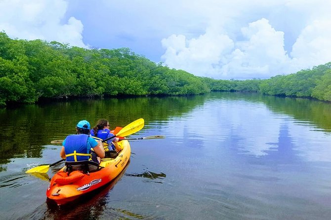 Mangroves and Manatees – Guided Kayak Eco Tour
