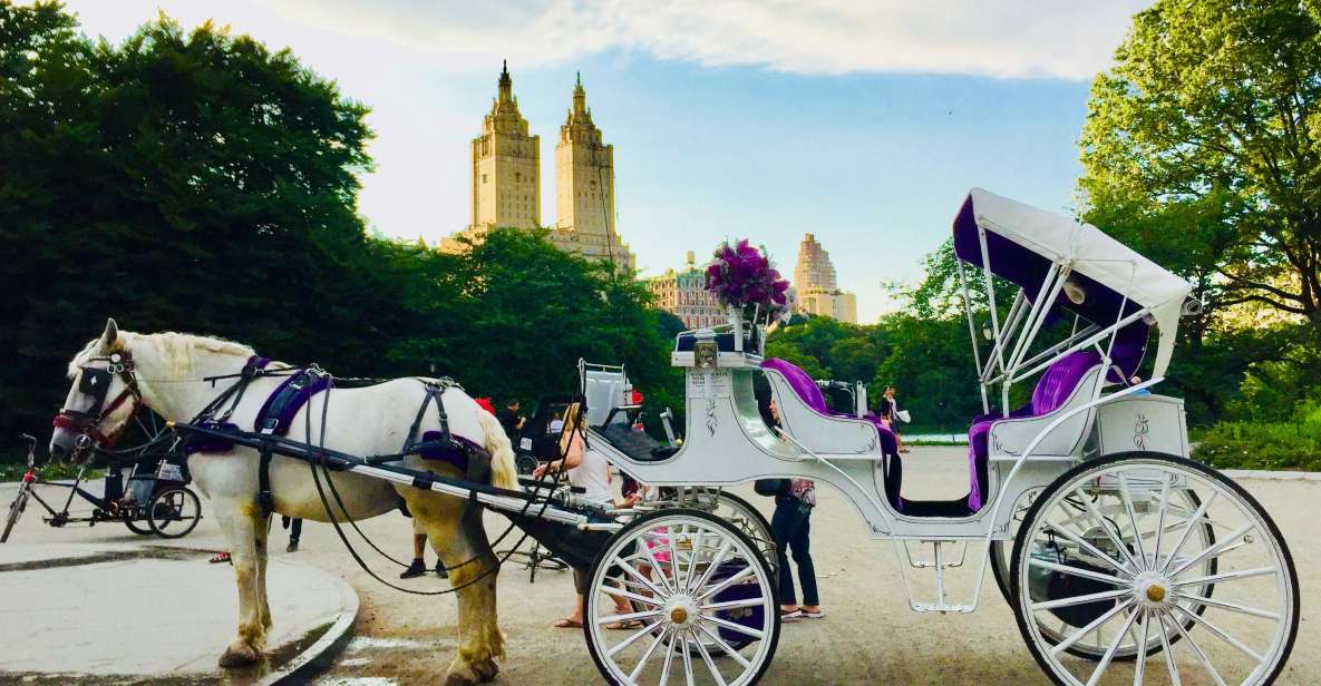 Manhattan: VIP Private Horse Carriage Ride in Central Park - Booking Details