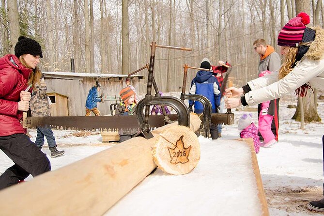 Maple Syrup Tour on the Sugar Bush Trek - Discovering Maple Syrup Making Process