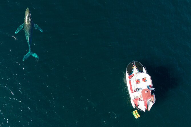 Marietas Islands All-Inclusive Boat Tour - Meeting Points and Logistics