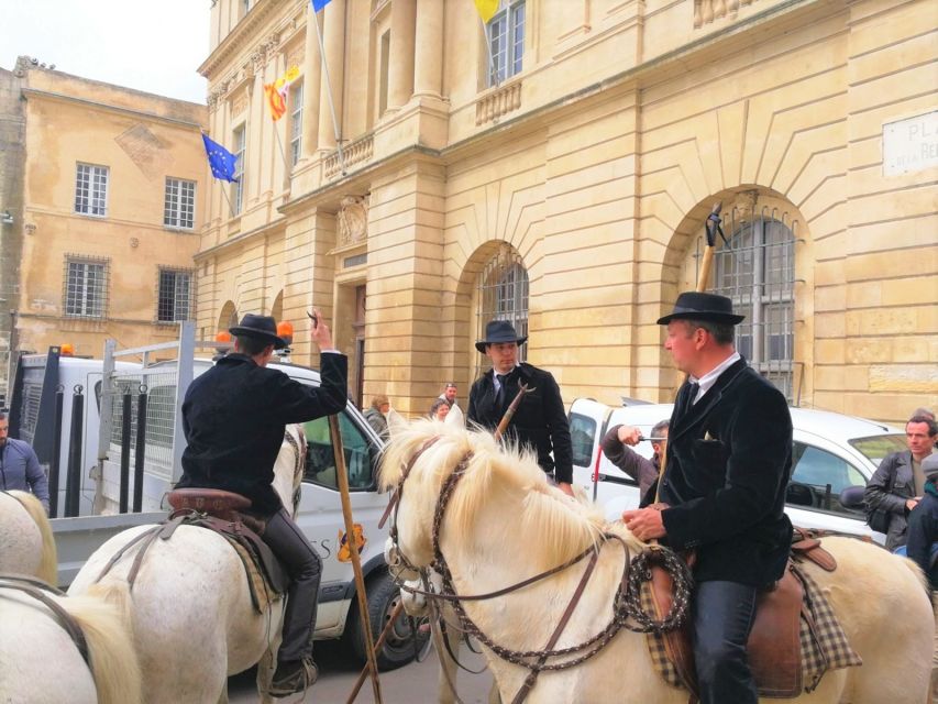 Marseille: The Camargue 8-Hour Guided Outing - Activity Details