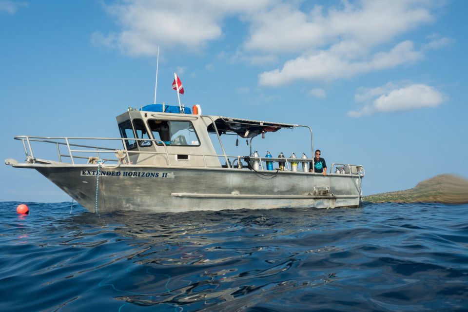 Maui: Beginner Discovery Scuba Dive Excursion From Lahaina - Activity Details