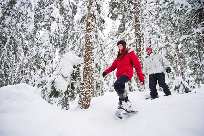 Medicine Trail Snowshoe Tour - Pricing and Booking Information