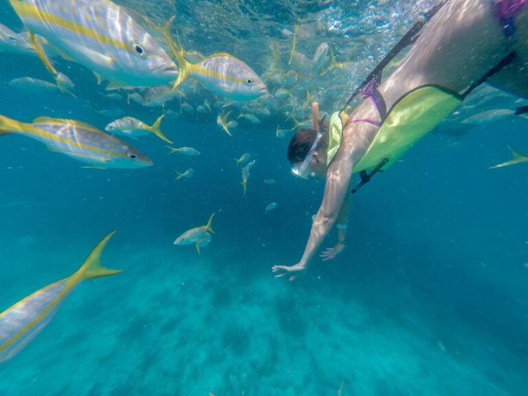 Miami: Key West Tour With Snorkeling & Kayaking