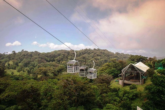 Monteverde Sky Tram & Hanging Bridges Cloud Forest Tour From San Jose - Pickup Details and Logistics