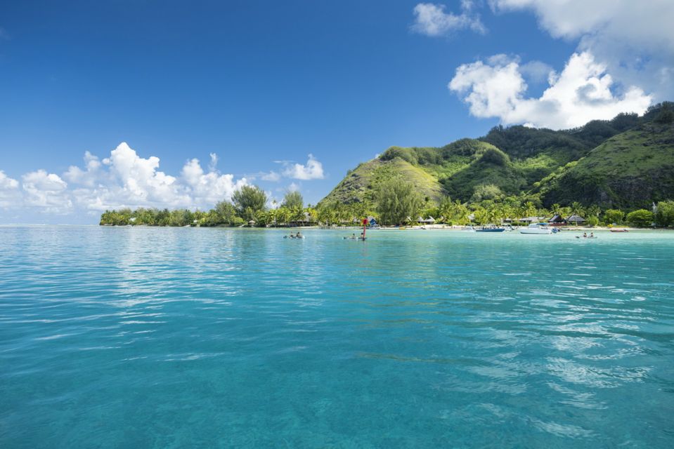 Moorea Highligts: Blue Laggon Shore Attractions and Lookouts - Moorea Juice Factory Visit