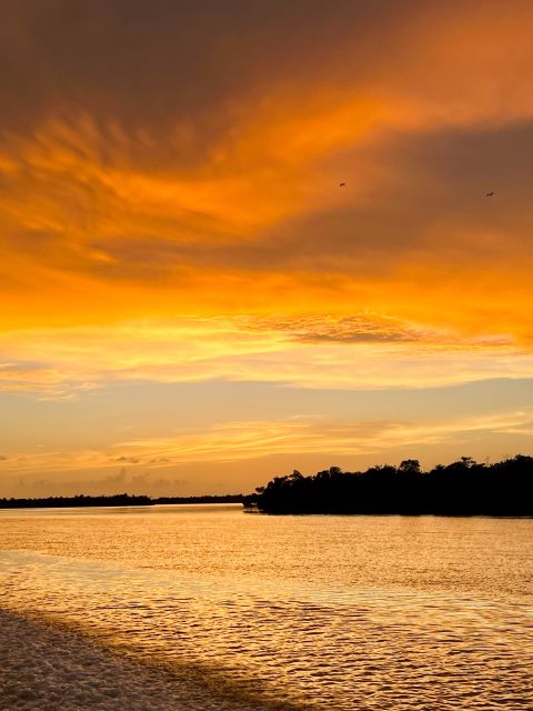 Naples, FL: 2.5 Hour Private Sunset Cruise in 10,000 Islands