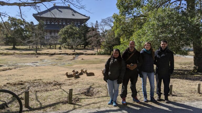 Nara: City Highlights Shared Group or Private Bike Tour