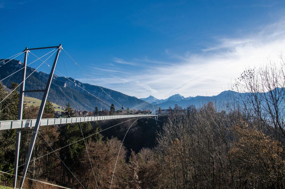 Nature Park Blue Lake, Panorama Bridge and Lake Thun Cruise - Booking Details