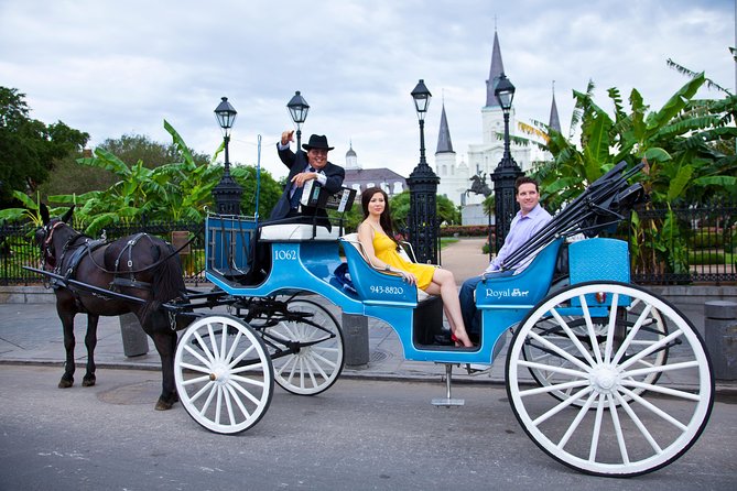 New Orleans Private Carriage Tour of the French Quarter - Tour Pricing and Details