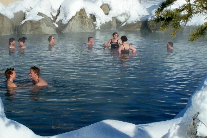Northern Lights and Chena Hot Springs Tour From Fairbanks - Logistics and Requirements