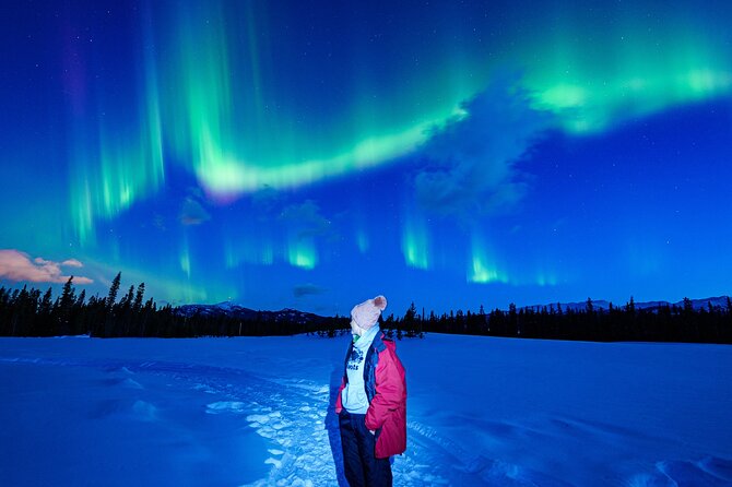 Northern Lights & Aurora Borealis Viewing – Small Groups