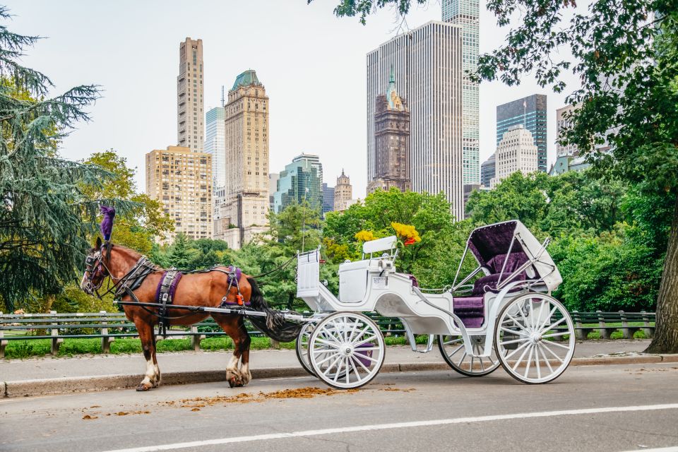 NYC: Guided Central Park Horse Carriage Ride - Activity Details