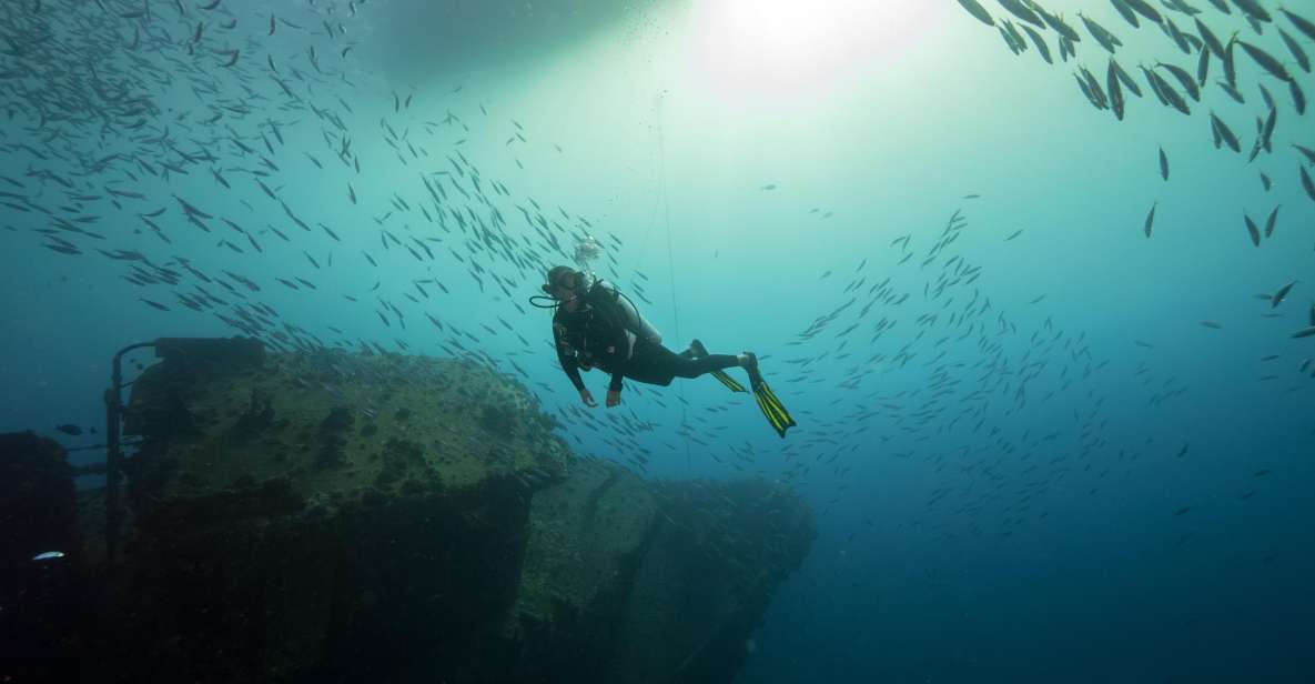 Oahu: Wreck & Reef Scuba Dive for Certified Divers - Activity Details