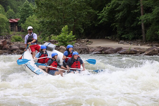 Ocoee River Middle Whitewater Rafting Trip (Most Popular Tour) - Tour Highlights