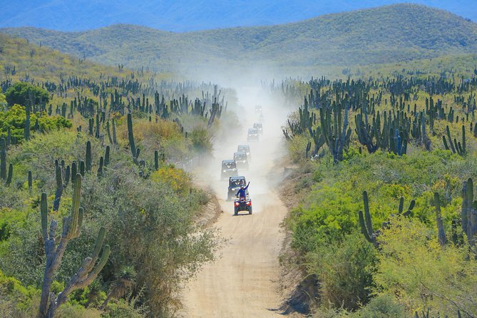 Offroad 4X4 UTV Adventure With Lunch & Tequila - Tour Pricing and Inclusions