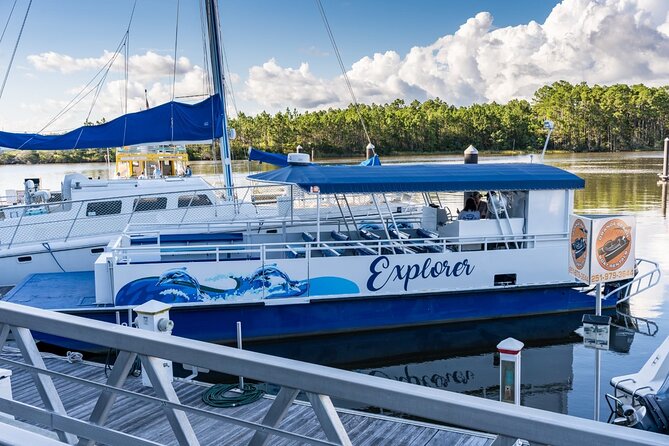Orange Beach Dolphin Eco Boat Tour - Tour Details