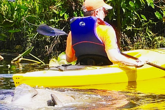 Orlando Manatee Encounters - Booking and Cancellation