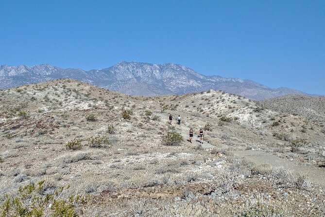 Palm Springs Hike to an Oasis and Amazing Desert Views - Booking Information and Logistics