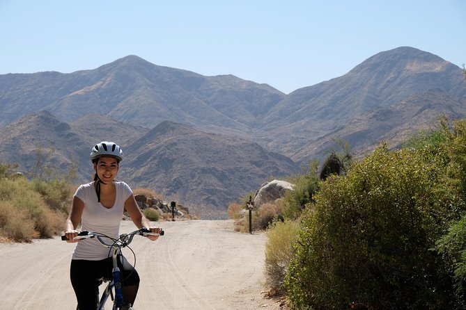 Palm Springs Indian Canyons Bike and Hike - Tour Overview