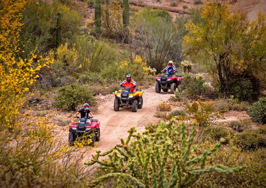 Phoenix: Guided Sonoran Desert Self-Drive UTV Tour - Tour Details