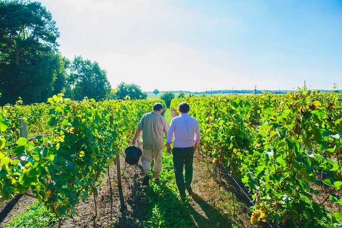 Picnic in the Vines – A Unique Loire Wine Experience