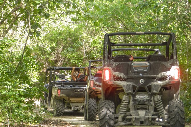 Playa Del Carmen Buggy Tour With Cenote Swim and Mayan Village Visit