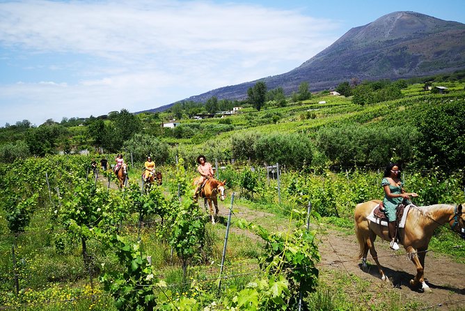 Pompeii Guided Tour & Horse Riding on Vesuvius With Wine Tasting - Tour Pricing and Duration