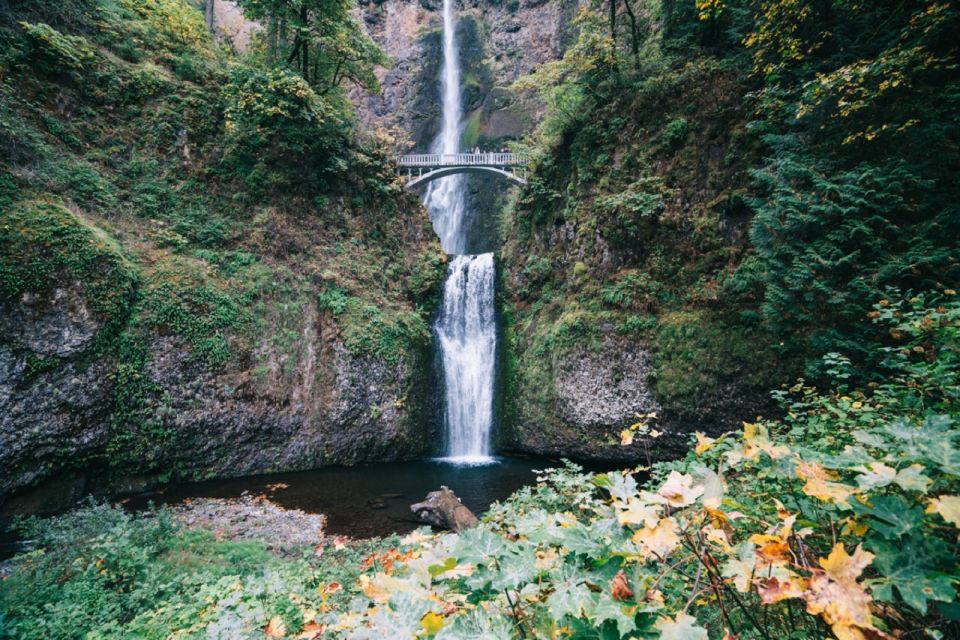 Portland: Columbia River Gorge Waterfalls Afternoon Tour - Tour Overview