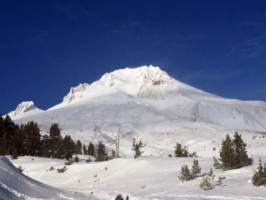 Portland: Mount Hood Wine and Waterfalls Full-Day Tour - Tour Details