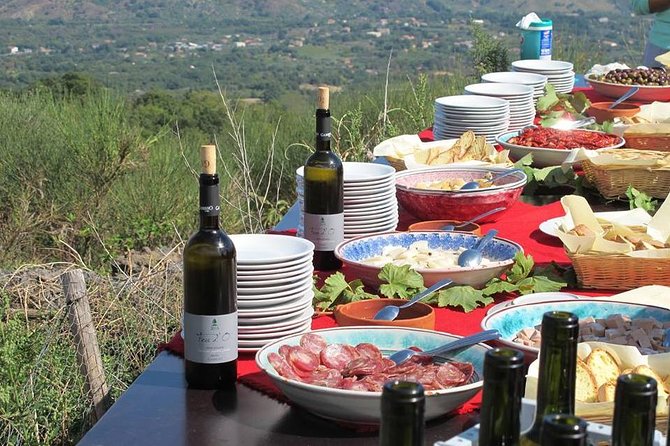Private 6-Hour Tour of Three Etna Wineries With Food and Wine Tasting - Tour Experience Overview