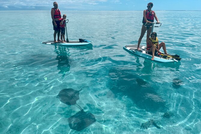 Private Excursion With E-Board in Moorea and Snorkeling