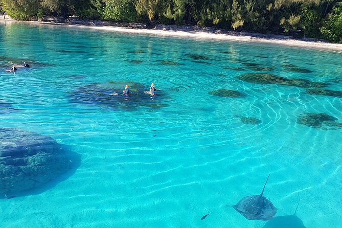 Private Half-Day Snorkeling Tour, Moorea - Tour Information and Booking Details