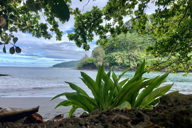 Private Half-Day Tour of Tahiti East Coast or West Coast - Tour Inclusions
