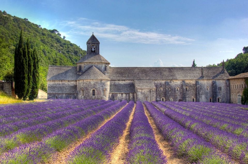 Private Lavender of Provence Tour - Tour Highlights