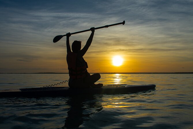 Private Paddle Tour at Sunrise - Tour Highlights
