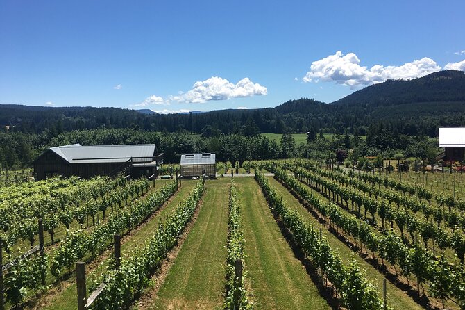 Private Small Group Transportation Cowichan Valley Wineries - Tour Details