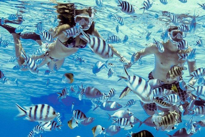 Private Tour: Bora Bora Lagoon Eco Snorkel Cruise – 3hrs or 6hrs