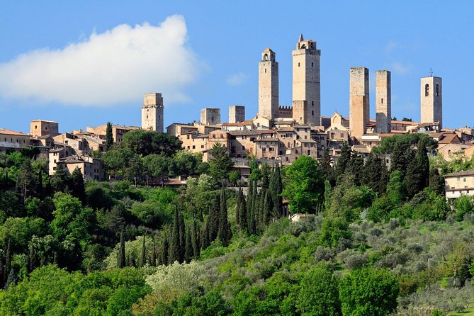 Private Tour in Siena, San Gimignano and Chianti Day Trip From Florence - Inclusions and Amenities