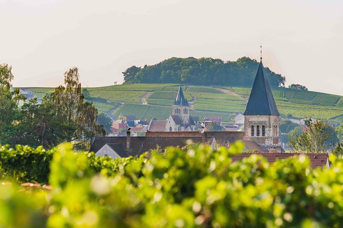 Private Tour of the Champagne Area, Meet Local Producers and Taste Their Champagne, Start From Your - Tour Overview